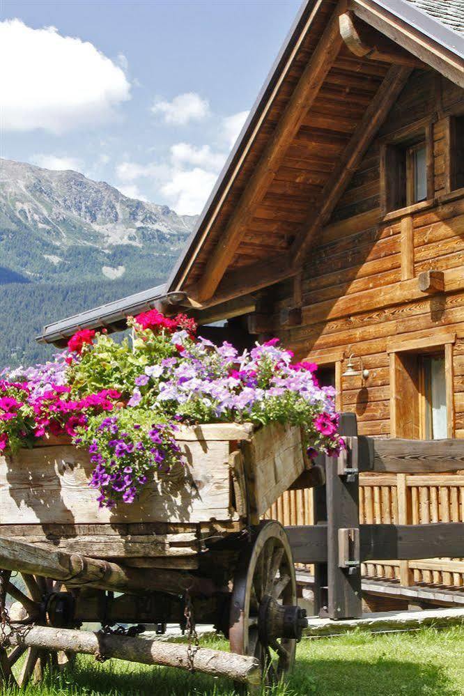 Chalet Teo E Marianna Bormio Exteriör bild